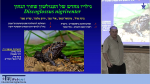 זוחלים ודו-חיים: ביולוגיה ושמירת הטבע של זוחלים ודו-חיים בישראל