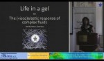Life in a Gel, or The (visco)elastic Response of Complex Fluids