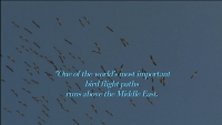A Short film by Eyal and Tal Bartov: The Effects of Climate Change on Birds and Bird Migration