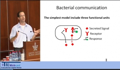 Bacterial Tower of Babel – How Cheating and Lying Diversify Bacterial Communication