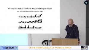 The scope and limits of Ilan&#039;s purely behavioral ethological program