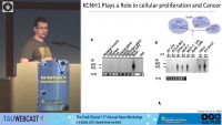 Molecular Insights Into KCNH1 Channels Current Inhibition