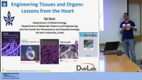 Engineering Tissues and Organs - Lessons from the Heart