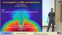 Jet Propagation in Gamma-ray Bursts and Supernovae