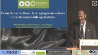 From flower to flour: leveraging basic science towards sustainable agriculture