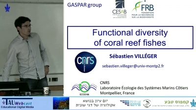 Functional Diversity of Coral Reef Fishes