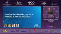 Modeling Uncertainty by Learning A Hierarchy of Deep Neural Connections (NeurIPS 2019)