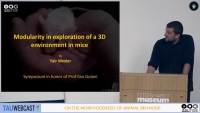 Modularity in exploration of a 3D environment in mice
