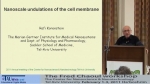 Nanoscale undulations of the cell membrane