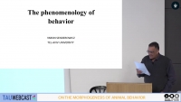 The phenomenology of behavior