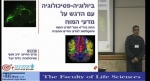 ביולוגיה פסיכולוגיה עם הדגש במדעי המוח - במסגרת ביה&quot;ס סגול למדעי המוח