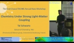 Chemistry Under Strong Light-Matter Coupling