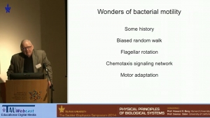 Wonders of Bacterial Motility