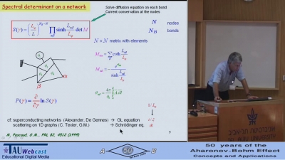 Quantum Transport and Aharonov-Bohm Effect in Diffusive Networks 