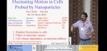 Fluctuating Motion in Cells Probed by Nanoparticles