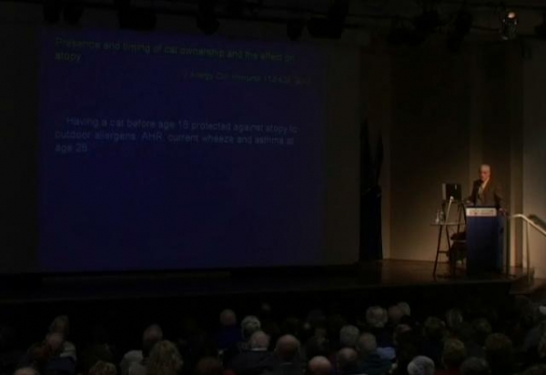 אלרגיה, מחלת העולם המודרני